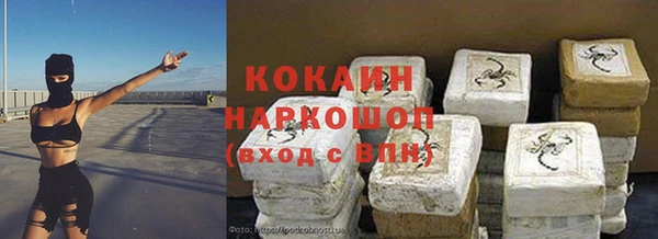 гашик Аркадак