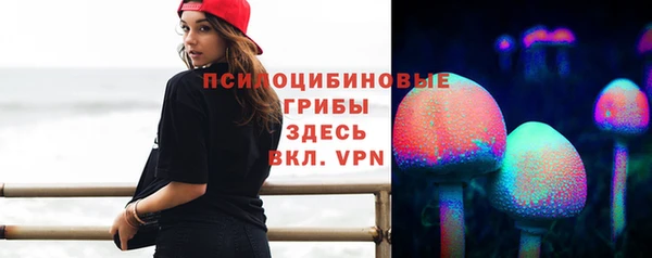 гашик Аркадак