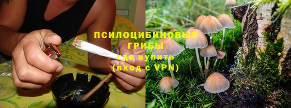 прущие крисы Армянск
