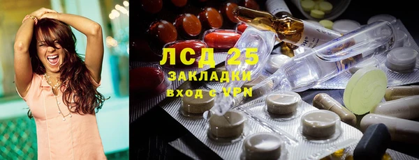 гашик Аркадак